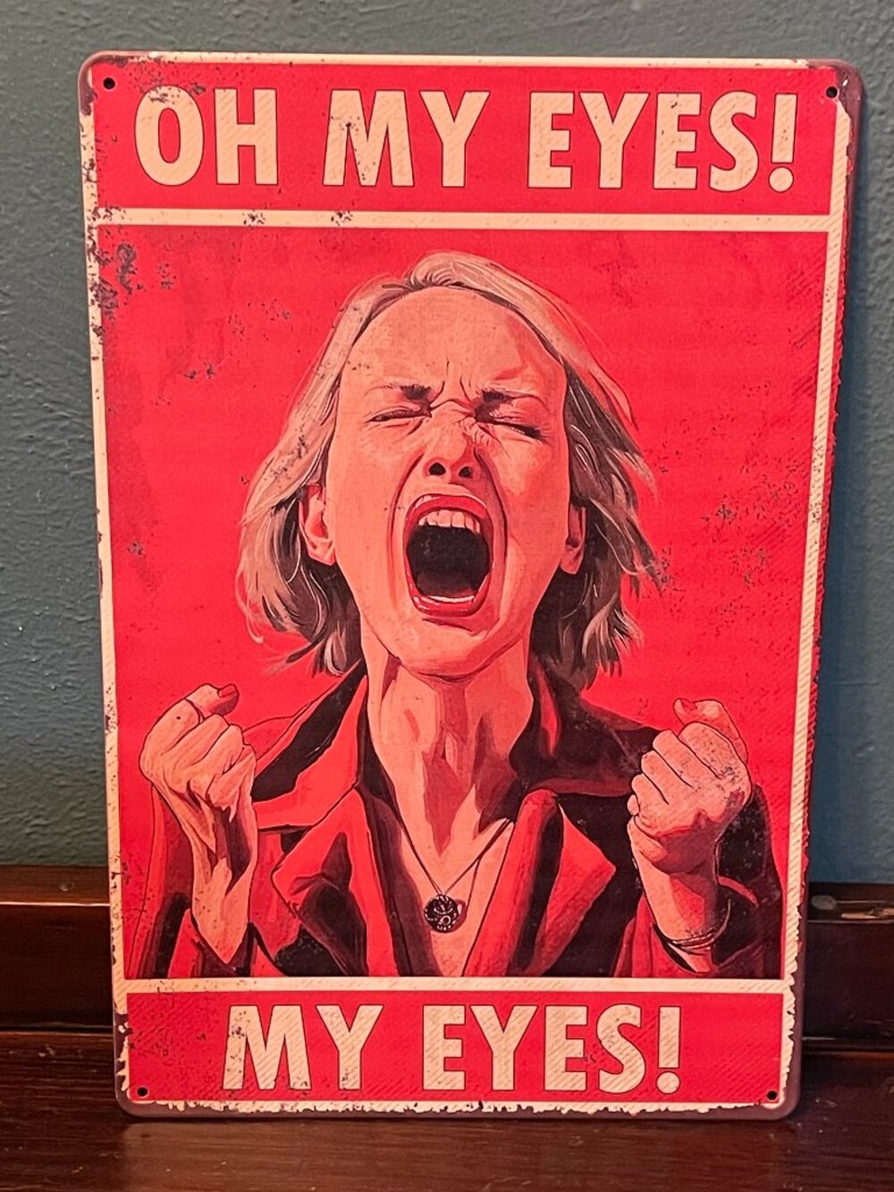 NWT 8X12" "Oh My Eyes" vintage-style tin sign inspired by quote Phoebe "Friends"